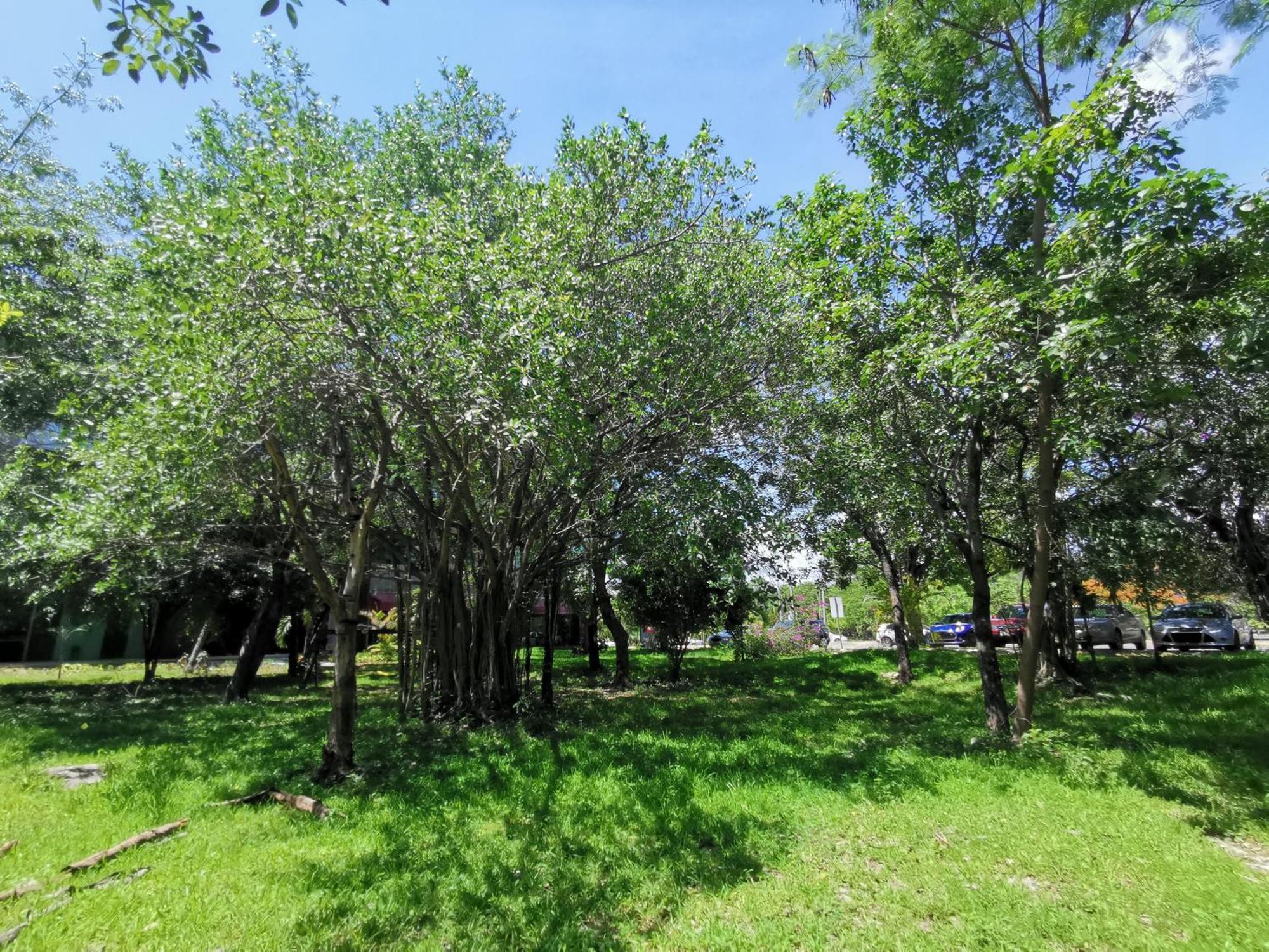 Beautiful & Cozy Near Beach Apartment Pool & Kingsize Bed Cancún Rum bild
